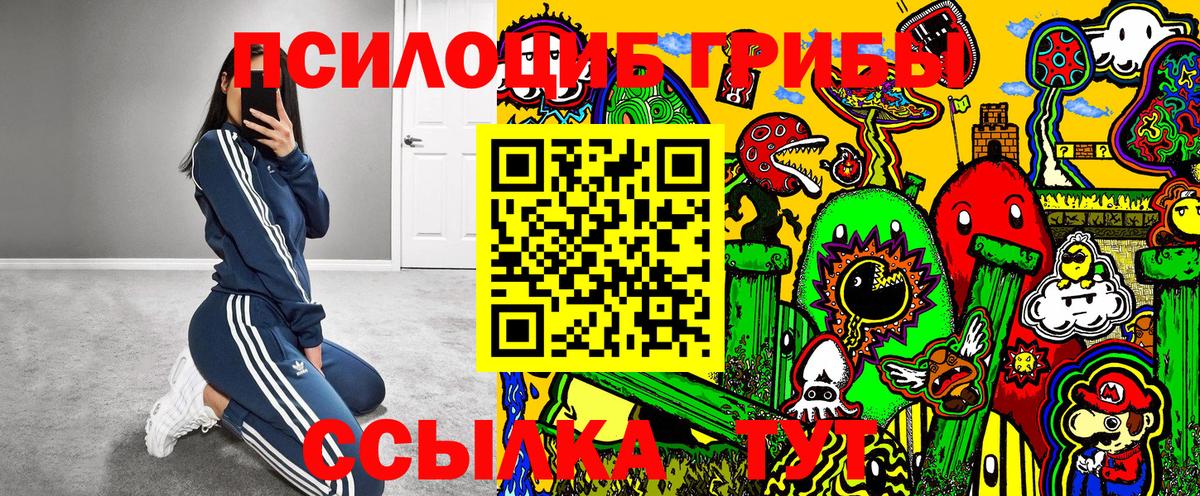 Верхняя Салда  Псилоцибиновые грибы GOLDEN TEACHER  Вход с VPN 