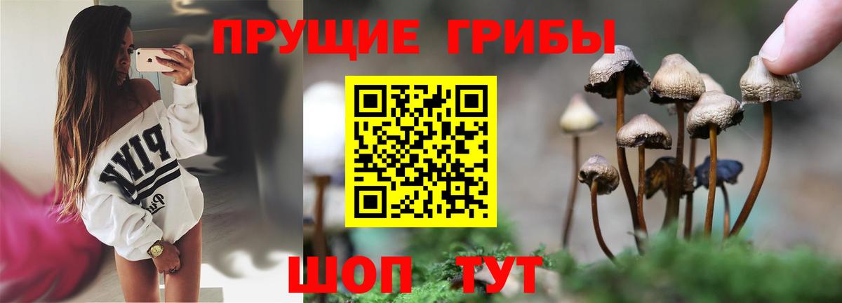 Псилоцибиновые грибы мухоморы Верхняя Салда
